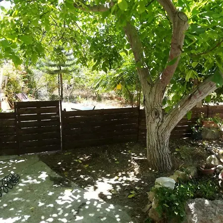 Little Paradise Τάλα
